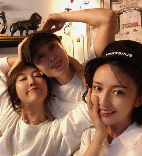 狗仔爆料合集视频,揭秘娱乐圈幕后真相